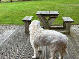Decking outside cabin