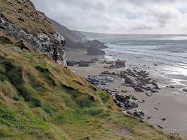 View from the path near the site
