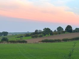 Evening sunset