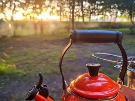 Nature, tea and the last rays of a setting sun