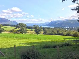 View from our pitch.