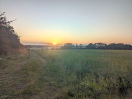 More sunset!