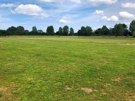 We had whole camp field to ourselves for a few days