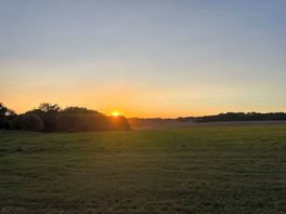 The view from our campervan.