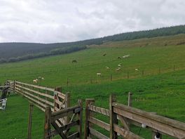 View over the field