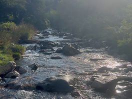 Got to have a splash in this lovely river. doggos loved it too
