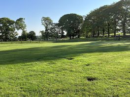 Beautiful view from pitch