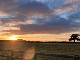 Sun set