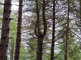 Moor valley - looks like a giant slingshot