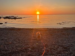 Sunset at the local beach