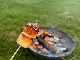 Marshmallows