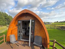 Pod