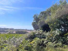 View before the beach