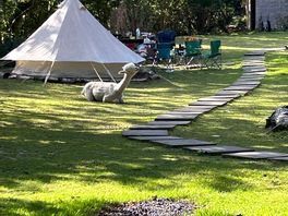 Teepees and alpacas