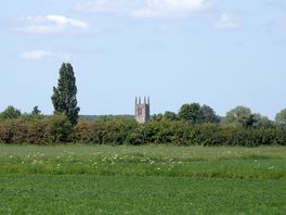 Back of field