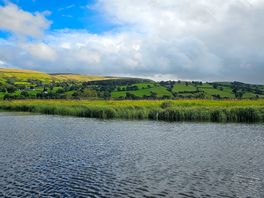 View of lake