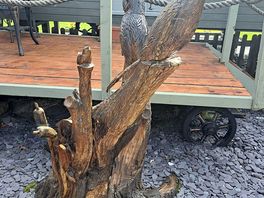 This carving was beautiful , it on the private yard of the hut .