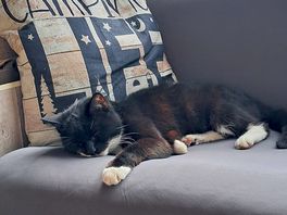 First time going away with the moggy and he was so chilled. this place is lovely and relaxing.