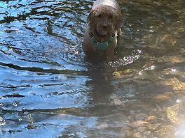 Loving the river