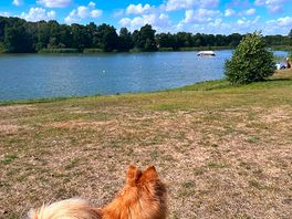 Lovely lake