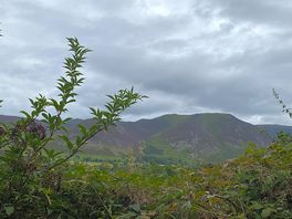 Scenery