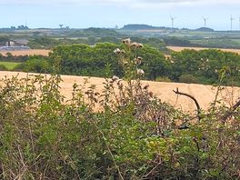 View from the entrance to site