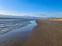 Beautiful sandy sea