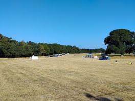 Huge field.