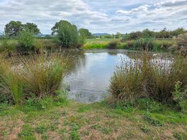 2nd pond
