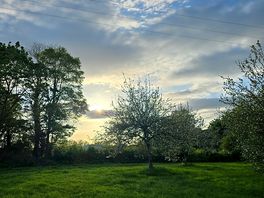 Scenery