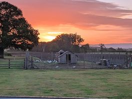 Sunrise