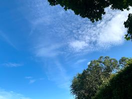 Nothing but blue sky!
