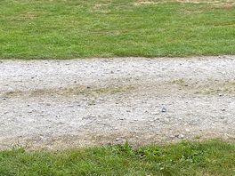 More cricket