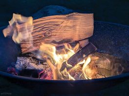 You have to hire their fire pit and buy their logs and kindling.