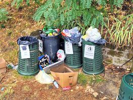 Just one lot of overflowing bins. right next to pitches