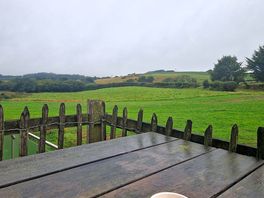 Morning cuppa