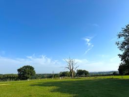 Lovely view