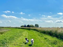 Walks along the river