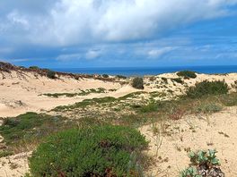 View from campsite
