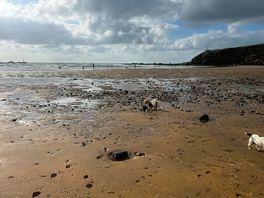 Bude