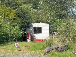 Local residents