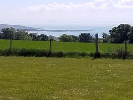 View from the site