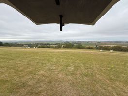 The view