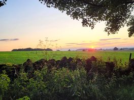 View from the woodland pitch