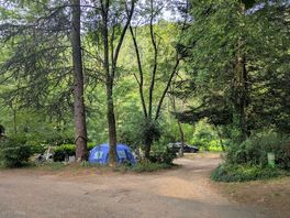 Camping