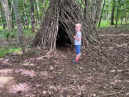 Den building