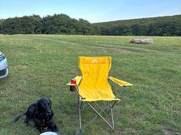 Doggie number 1 relaxing and hoping for food