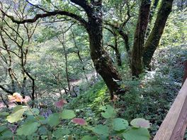 Lovely walking trail.
