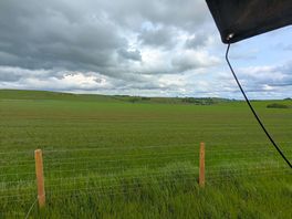 View from the pitch