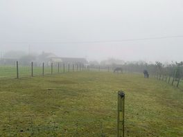 Morning fog.